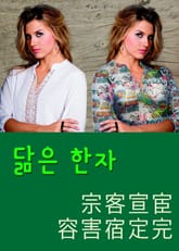 닮은 한자 宗客宣宦容害宿定完 표지 이미지