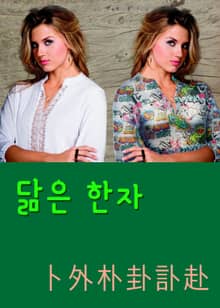 닮은 한자 卜外朴卦訃赴