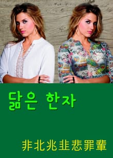 닮은 한자 非北兆悲罪輩