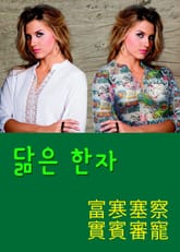 닮은 한자 富寒塞察實賓審寵 표지 이미지