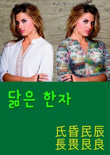닮은 한자 氏昏民辰長畏艮良