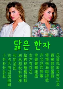 닮은 한자 卜古和利右聿非侮買氏 포함 70개