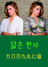 닮은 한자 力刀刃九丸匕協 표지 이미지