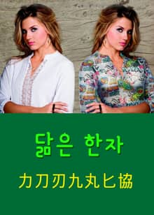 닮은 한자 力刀刃九丸匕協