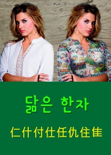닮은 한자 仁什付仕任仇住