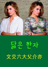 닮은 한자 文交六大父介亦 표지 이미지