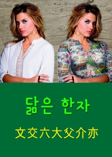 닮은 한자 文交六大父介亦