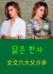 닮은 한자 文交六大父介亦