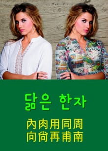 닮은 한자 內肉用同周向尙再甫南