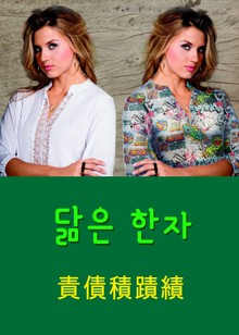 닮은 한자 責債積蹟績