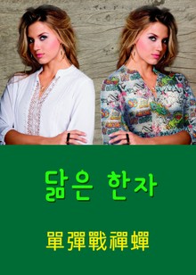 닮은 한자 單彈戰禪蟬