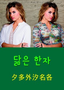 닮은 한자 夕多外汐名各