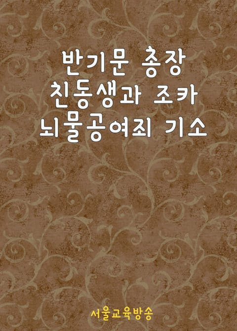 반기문 총장 친동생과 조카 뇌물공여죄 기소 (국제사기사건 의혹) 표지 이미지