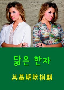 닮은 한자 其基期欺棋麒