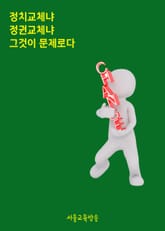 정치교체냐 정권교체냐 그것이 문제로다 (반기문 총장의 인천국제공항 기자회견) 표지 이미지