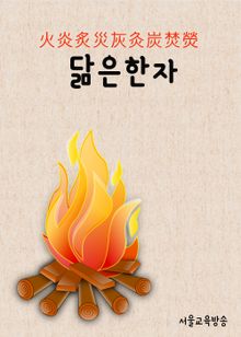 닮은 한자 火炎炙災灰灸炭焚熒