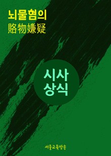 뇌물혐의(賂物嫌疑) 시사상식사전