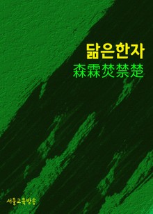닮은 한자 森霖焚禁楚