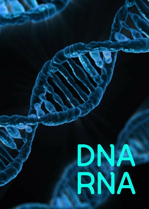DNA RNA (염색체, 유전자 방추사) 표지 이미지