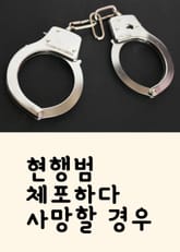 현행범 체포하다 사망할 경우 표지 이미지