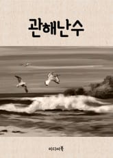 관해난수(觀海難水) (신사임당 빛의 일기) 표지 이미지