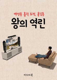 왕의 역린 (백성을 훔친 도적, 홍길동 11회)