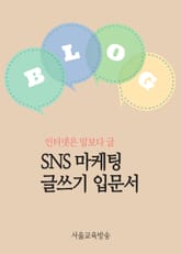 SNS 마케팅 글쓰기 입문서 (인터넷은 말보다 글) 표지 이미지
