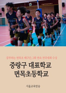 중랑구 대표학교, 면목초등학교 (공부하는 면목초 배구단, 2회 연속 전국대회 수상)