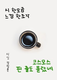 시 한모금 느낌 한조각 (코스모스 핀 줄도 몰랐네)