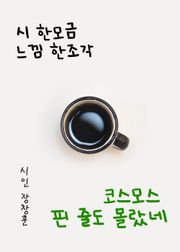 시 한모금 느낌 한조각 (코스모스 핀 줄도 몰랐네)
