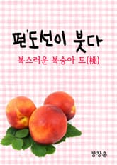 편도선(扁桃腺)이 붓다 : 복스러운 복숭아 도(桃) 표지 이미지