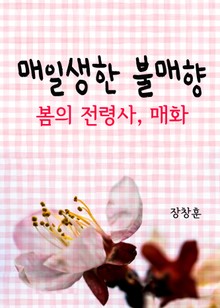 매일생한 불매향 (봄의 전령사, 매화)