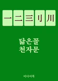 닮은꼴 천자문 一二三刂川 (하나로 다섯을 알다)