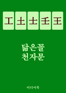 닮은꼴 천자문 工土士壬王 (하나로 다섯을 알다)
