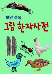 보면 쏙쏙 그림 한자사전 (새와 곤충)