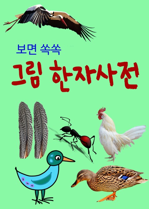 보면 쏙쏙 그림 한자사전 (새와 곤충) 표지 이미지