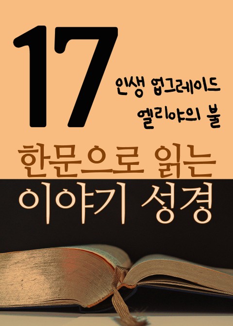 한문으로 읽는 이야기 성경 17(인생 업그레이드, 엘리야의 불) 표지 이미지