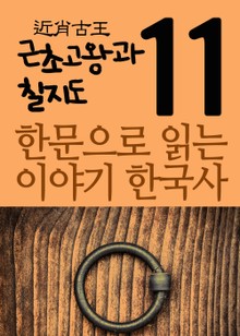 한문으로 읽는 이야기 한국사 11(근초고왕과 칠지도)
