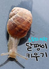달팽이 키우기 (느림의 미학) 표지 이미지