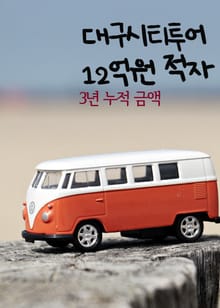 대구시티투어, 12억원 적자 (3년)