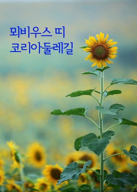 뫼비우스 띠 코리아둘레길 (우리나라 걷기여행길) 표지 이미지