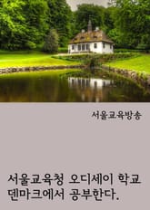 서울교육청 오디세이 학교 덴마크에서 공부한다. (수능 최저등급과 입학사정관) 표지 이미지
