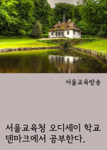 서울교육청 오디세이 학교 덴마크에서 공부한다. (수능 최저등급과 입학사정관)