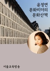 윤정연 문화리더의 문화산책 (서울빛초롱축제, 국립민속박물관, 세종대왕 등) 표지 이미지