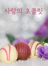 사랑의 초콜릿 (초콜릿 인문학) 표지 이미지