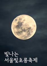 빛나는 서울빛초롱축제 (평창동계올림픽 조직위 후원, 종로구 한복축제) 표지 이미지