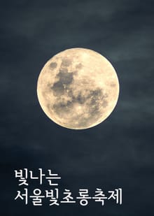 빛나는 서울빛초롱축제 (평창동계올림픽 조직위 후원, 종로구 한복축제)