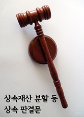 상속재산 분할 등 상속 판결문 표지 이미지
