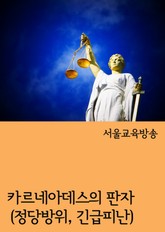 카르네아데스의 판자 (정당방위, 긴급피난) 표지 이미지