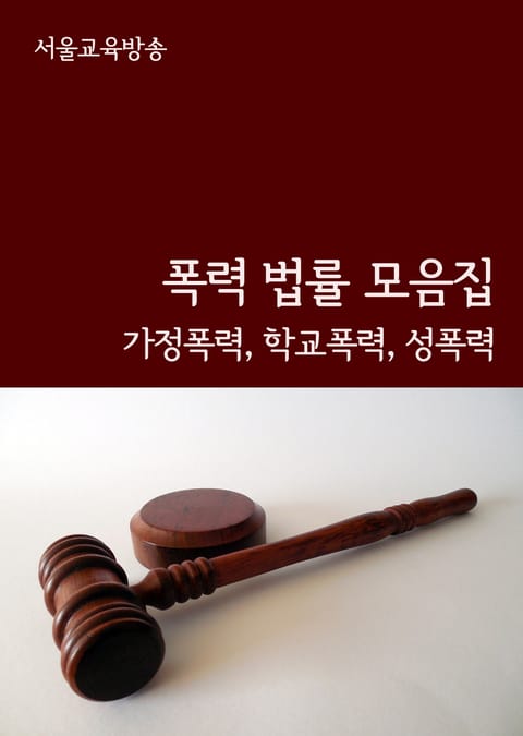 폭력 법률 모음집 (가정폭력, 학교폭력, 성폭력) 표지 이미지